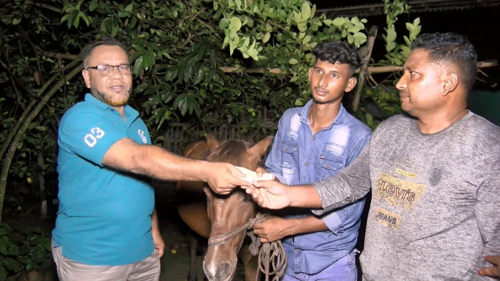 অন্ধ ঘোড়ার সেবায় সোহানের পাশে দাঁড়ালেন প্রধানমন্ত্রী