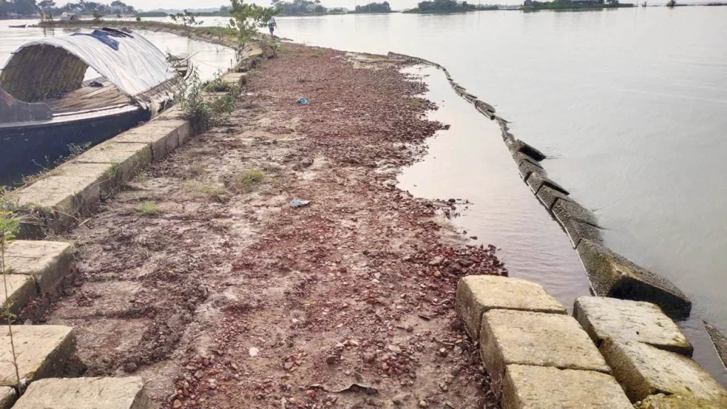 নেত্রকোনায় ফসলরক্ষা বাঁধের দুই হাজারের বেশি ব্লক লুট, আতঙ্কে কৃষক